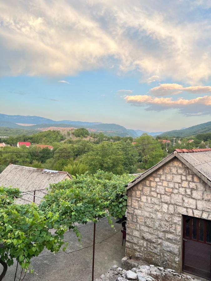 Kuca Za Odmor Villa Niksic Exterior photo